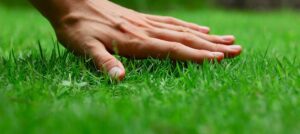 Jak przywrócić trawę do życia po zimie – optymalna pielęgnacja i regeneracja twojej zielonej przestrzeni